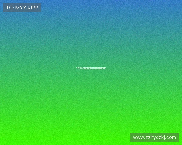 12月5日起，广州交警将投放车牌新号段